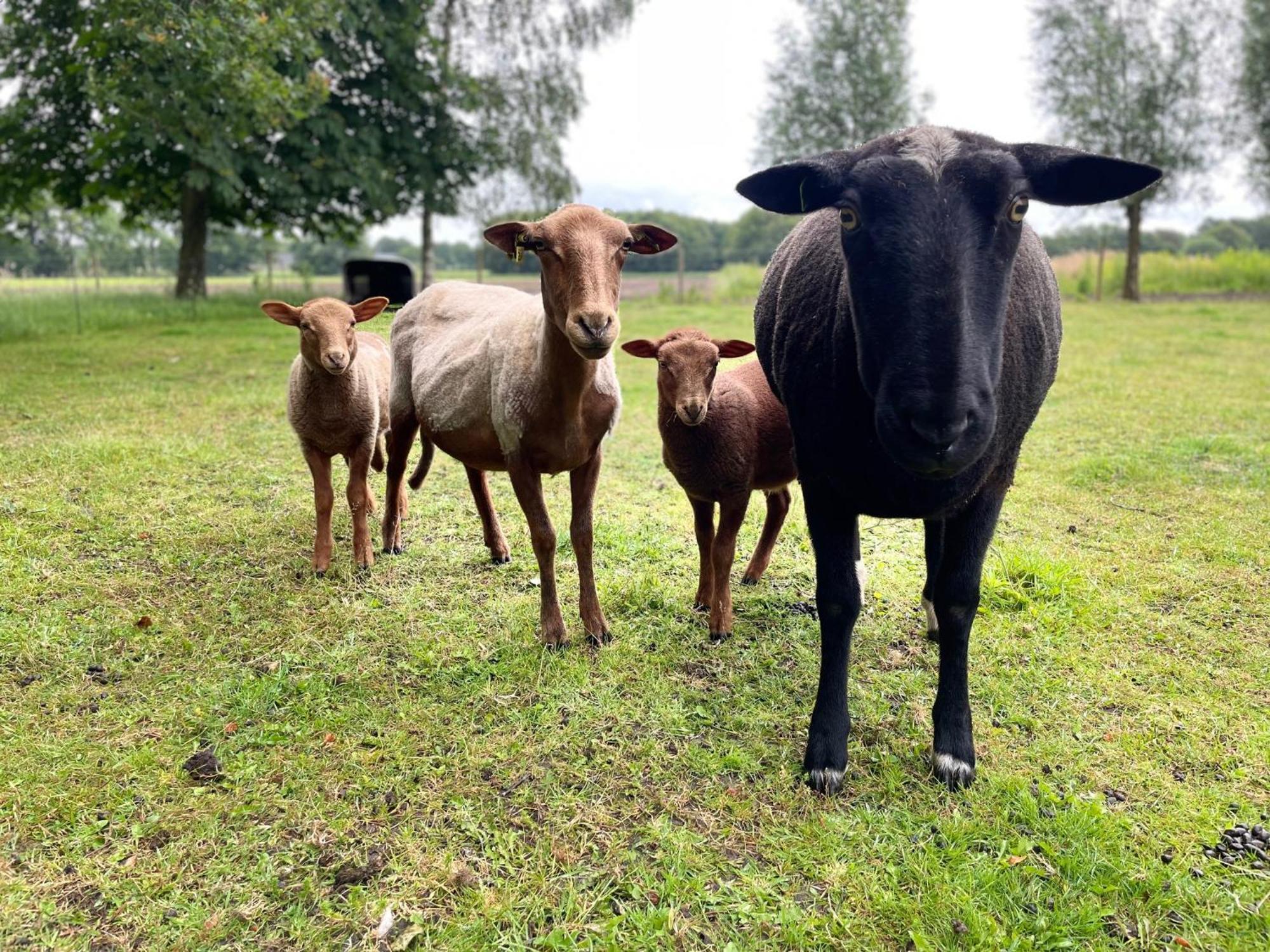 Ferienwohnung Vossenberg Etten-Leur Exterior foto